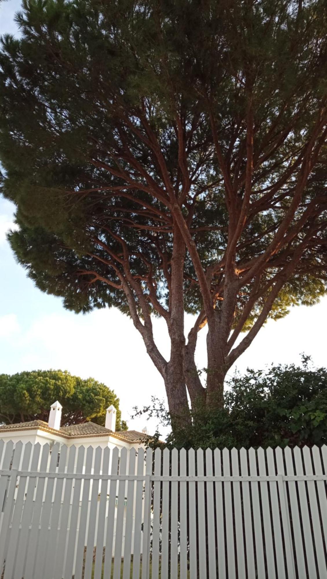 Apartamento La Barrosa - Chiclana - Urb. Pinar Atlantico شيكلانا دي لا فرونتيرا المظهر الخارجي الصورة